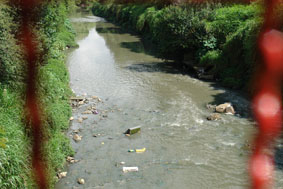 Aparência ruim e lixo nas águas prejudicam o Rio Belém.